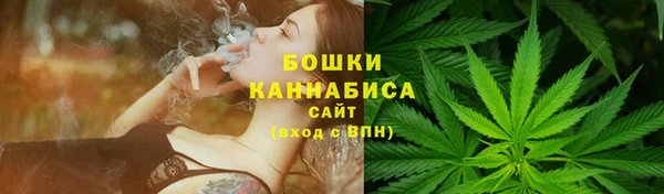 индика Алапаевск