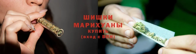 ECSTASY Няндома