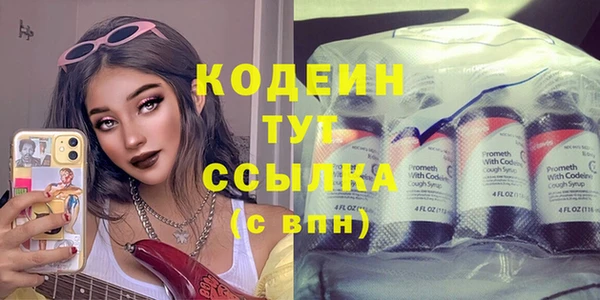 ECSTASY Няндома