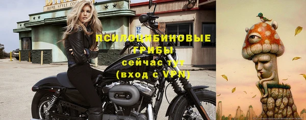 герыч Нязепетровск