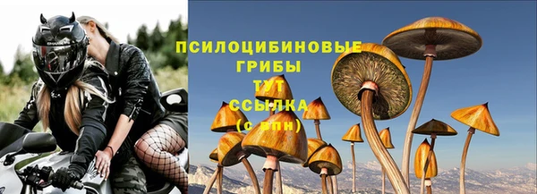 ECSTASY Няндома