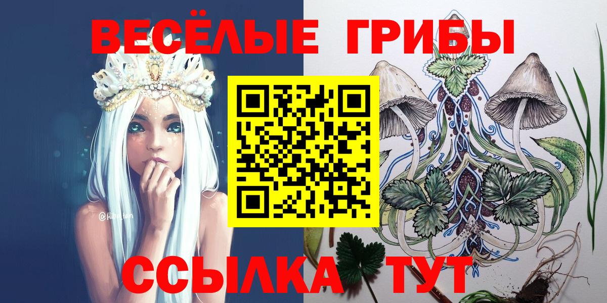 Краснотурьинск  Псилоцибиновые грибы ЛСД  Вход с VPN  Псилоцибиновые грибы Cubensis 