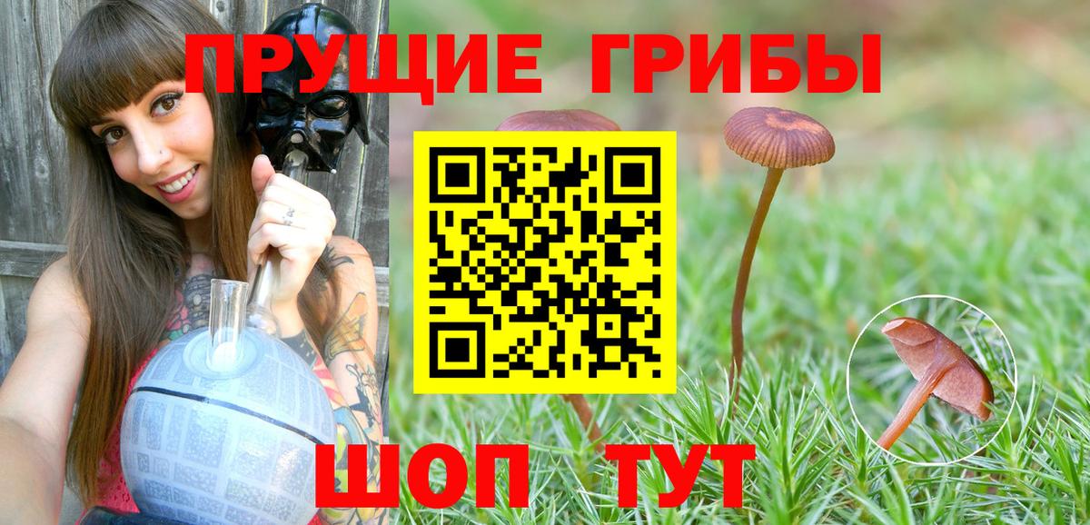 Псилоцибиновые грибы ЛСД  хочу наркоту  Краснотурьинск 