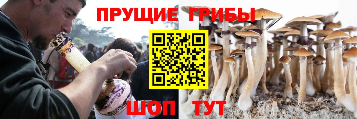 Галлюциногенные грибы Magic Shrooms Краснотурьинск